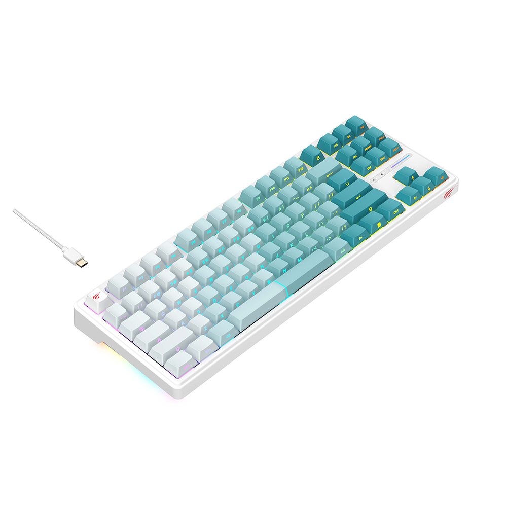 CLAVIER GAMER HAVIT MECANIQUE KB901L
